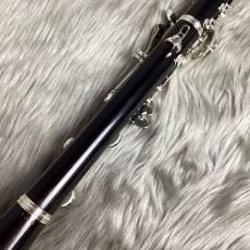 Buffet Crampon E13/inB_9