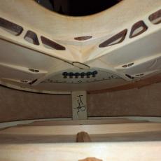 Ryan Guitars(Kevin Ryan) Cathedral Grand Fingerstyle  Adirondack Spruce Spalted Tamarind_11