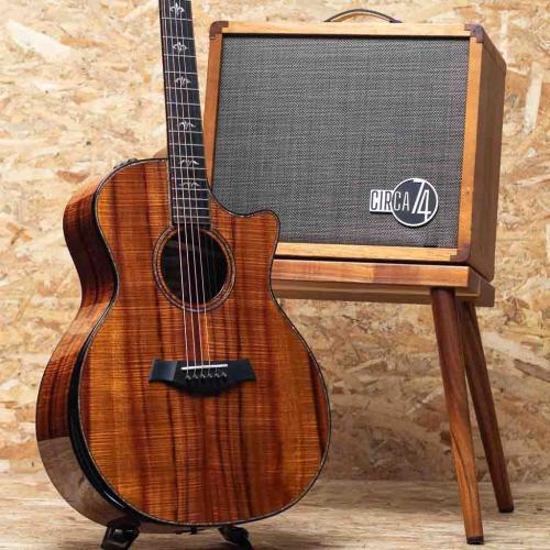 Taylor 50th Anniversary 924ce-K LTD CIRCA 74 Amp Set