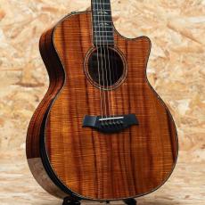 Taylor 50th Anniversary 924ce-K LTD CIRCA 74 Amp Set_2