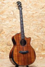Taylor 50th Anniversary 924ce-K LTD CIRCA 74 Amp Set_4