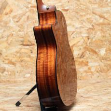 Taylor 50th Anniversary 924ce-K LTD CIRCA 74 Amp Set_6