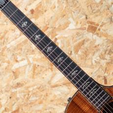 Taylor 50th Anniversary 924ce-K LTD CIRCA 74 Amp Set_7