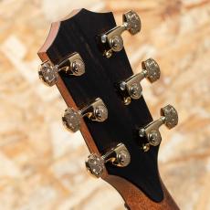 Taylor 50th Anniversary 924ce-K LTD CIRCA 74 Amp Set_10