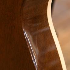 Gibson Les Paul Standard Plus_11