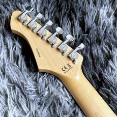 Aria Pro II 615-AE200 LRBL (Lorelei Blue)  -Aria Evergreen-【価格を超えた高級感!】_7