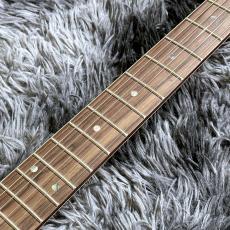 Aria Pro II 714-AE200 LRBL (Lorelei Blue) -Aria Evergreen-【価格を超えた高級感!】_5