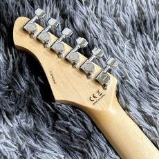 Aria Pro II 714-AE200 LRBL (Lorelei Blue) -Aria Evergreen-【価格を超えた高級感!】_7