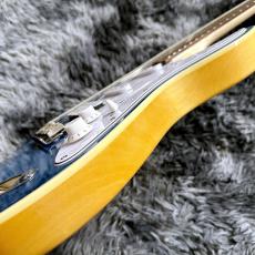 Aria Pro II 714-AE200 LRBL (Lorelei Blue) -Aria Evergreen-【価格を超えた高級感!】_10