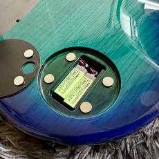 DINGWALL Combustion CC3 5st Quilt Maple Top Whale Pool Burst_9