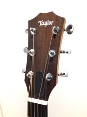 Taylor 14ce_3