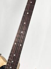 SCHECTER 【スポット生産モデル】PS-S-PT/VT/R -Vintage Tint-《NEW》_5