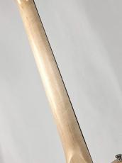 SCHECTER 【スポット生産モデル】PS-S-PT/VT/R -Vintage Tint-《NEW》_10