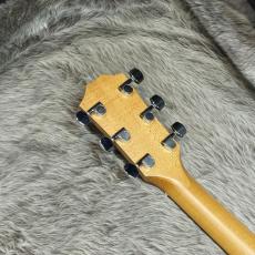 Taylor Academy 12【春のクリアランスセール】_4