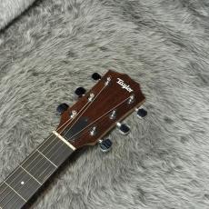 Taylor Academy 12【春のクリアランスセール】_6