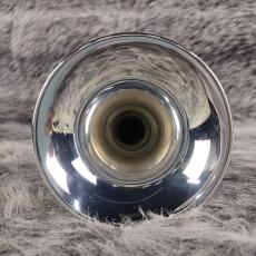 YAMAHA YTR-8335RGS_5