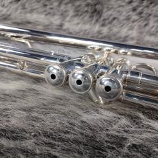 YAMAHA YTR-8335RGS_11