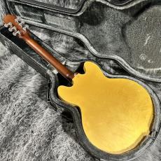 Epiphone E230TD inspired by John Lennon Casino 2013_10