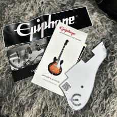 Epiphone E230TD inspired by John Lennon Casino 2013_11