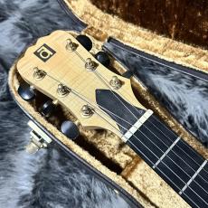 Ayers Guitar Archtop_5