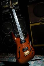 Bacchus Progressive-II Custom Pro / 2004_2