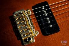 Bacchus Progressive-II Custom Pro / 2004_6