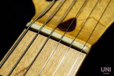 ESP RON WOOD SIGNATURE_10