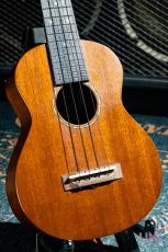 T's CS-100 / 2010_10