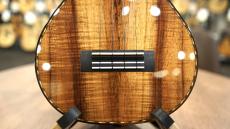 Kamaka 【個体演奏動画あり】【中古ご委託品】HF-2D '22年製【デラックスモデル】_3