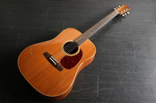 Don Musser CUSTOM　Dreadnought　キルティッドマホ　委託品　セール期間限定価格