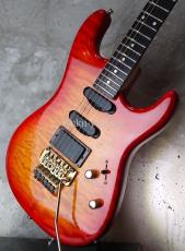 Valley Arts Custom Pro USA '93 / Fire Burst_5