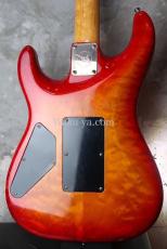 Valley Arts Custom Pro USA '93 / Fire Burst_7