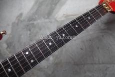 Valley Arts Custom Pro USA  Maple Body / Trans Red_4