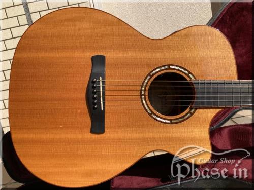 AYERS A-03C / P.U.搭載