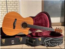 AYERS A-03C / P.U.搭載_10