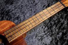 Kamaka HF-2 Kukui #25K0217 【コンサート】【上品な杢目】【ソフトケース付き!】【池袋店在庫品】_9