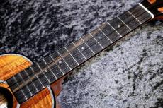 Kamaka  【小物プレゼント!】 HF-2D2I #231499【コンサート】【癒しの音色】【最上位グレード】【池袋店在庫品】_9