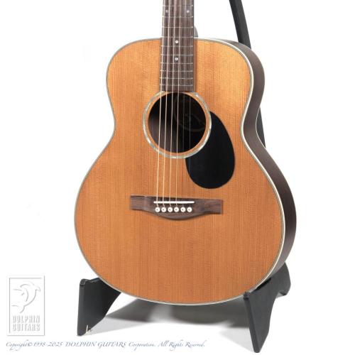Eastman PCH2-TG【15回無金利対象品】