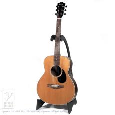 Eastman PCH2-TG【15回無金利対象品】_2