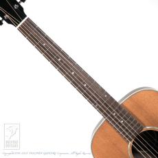 Eastman PCH2-TG【15回無金利対象品】_5