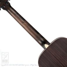 Eastman PCH2-TG【15回無金利対象品】_6