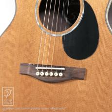 Eastman PCH2-TG【15回無金利対象品】_10