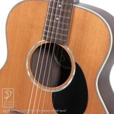 Eastman PCH2-TG【15回無金利対象品】_11