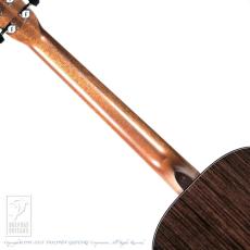 Morris MW-101BT Baritone Custom_6