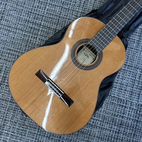 ARIA A-50C