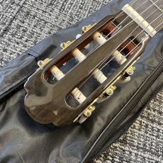 ARIA A-50C_4