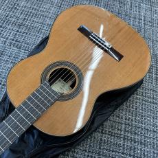 ARIA A-50C_5