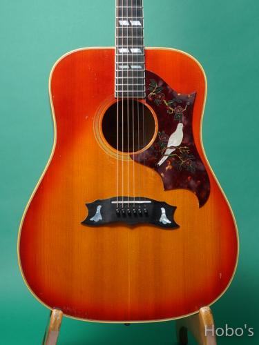 Gibson DOVE 1974-5