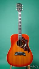 Gibson DOVE 1974-5_2