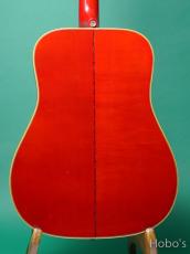 Gibson DOVE 1974-5_4